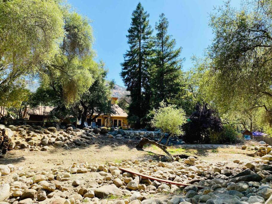 Sequoia Cabin By The River Three Rivers Dış mekan fotoğraf